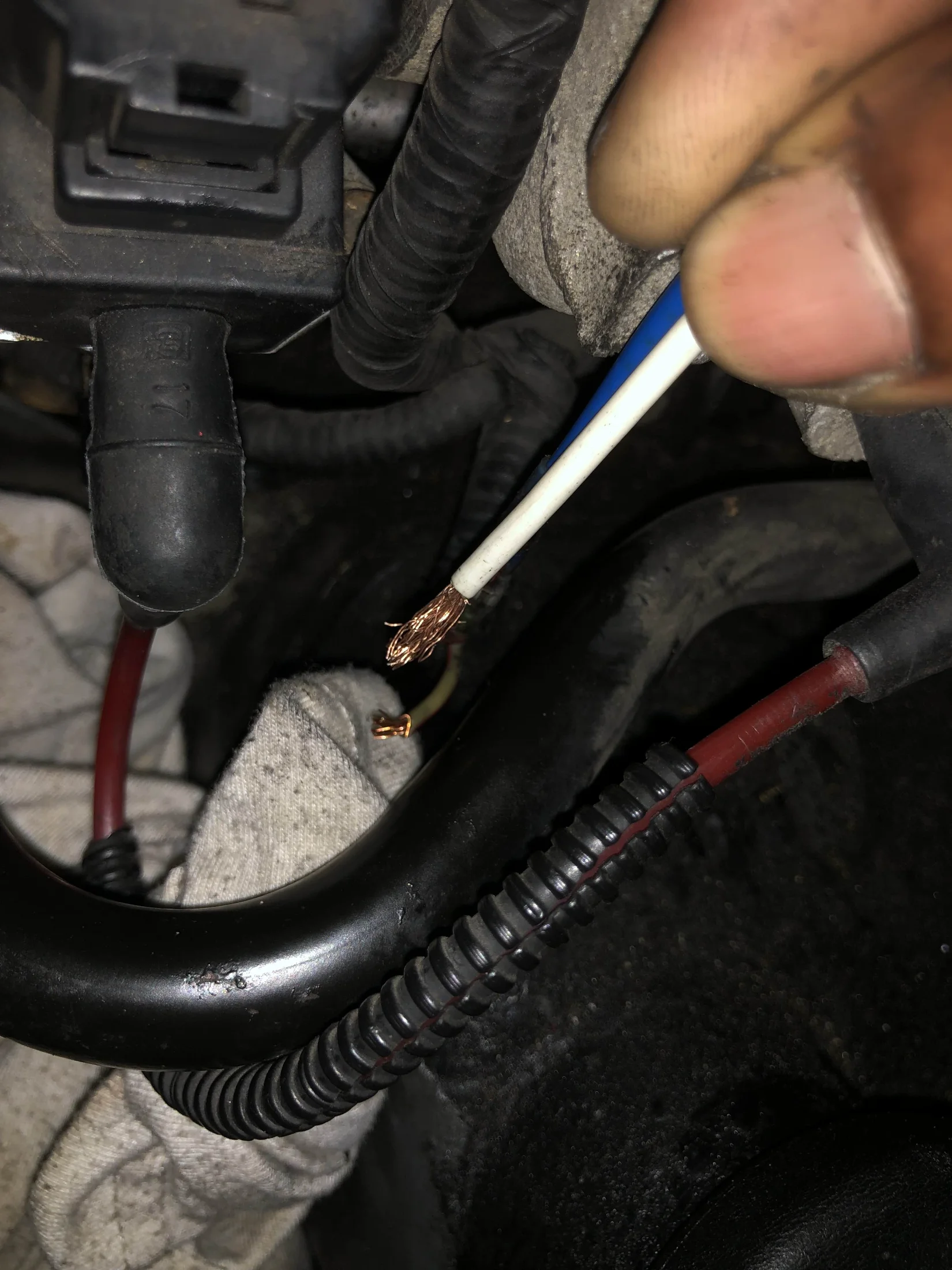 wires 2.webp