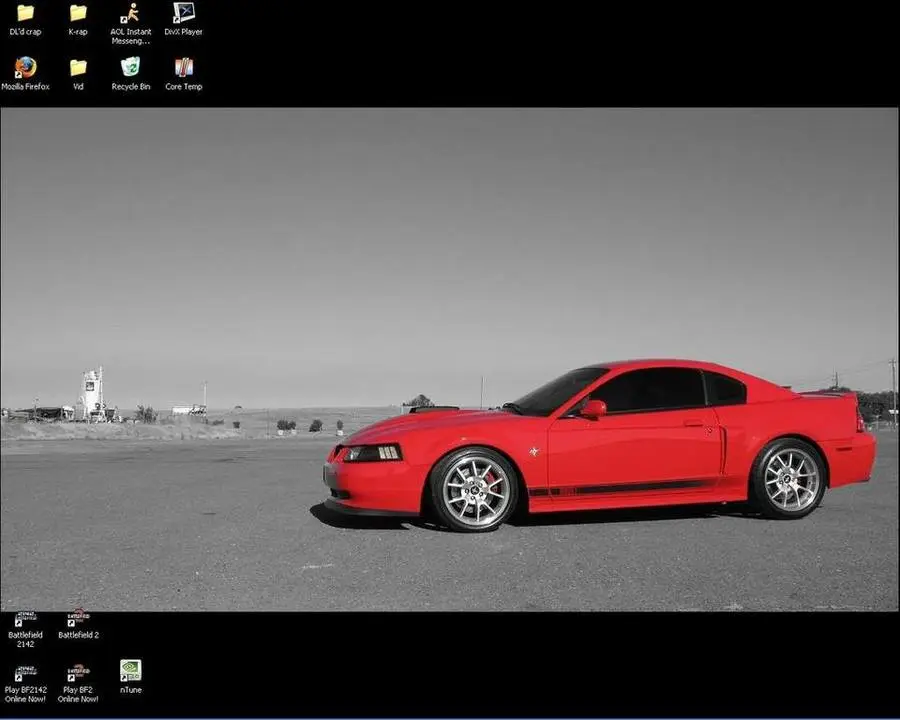Wp1.webp