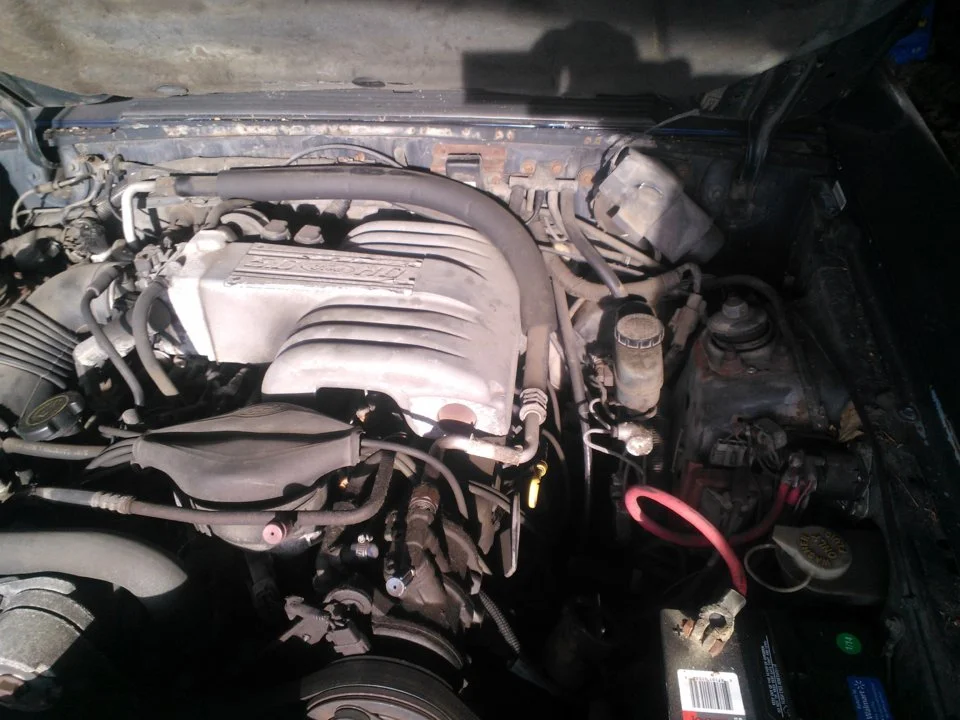 WP_000037.webp