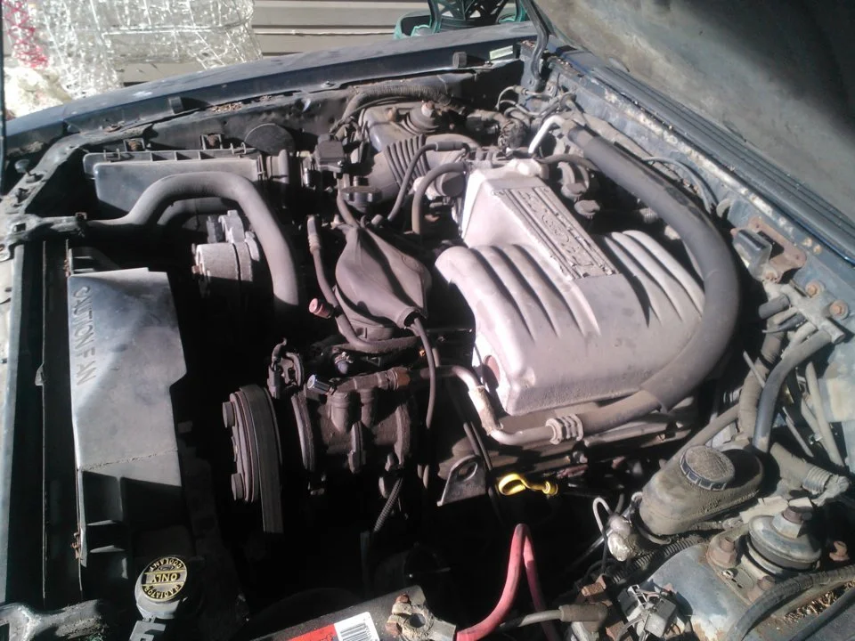 WP_000038.webp