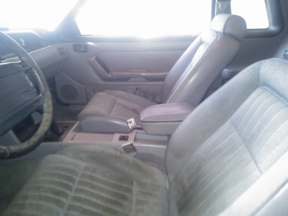 WP_000040.webp