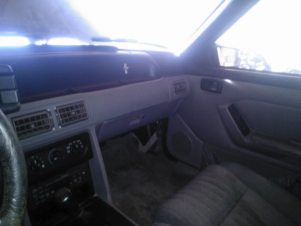 WP_000042.webp