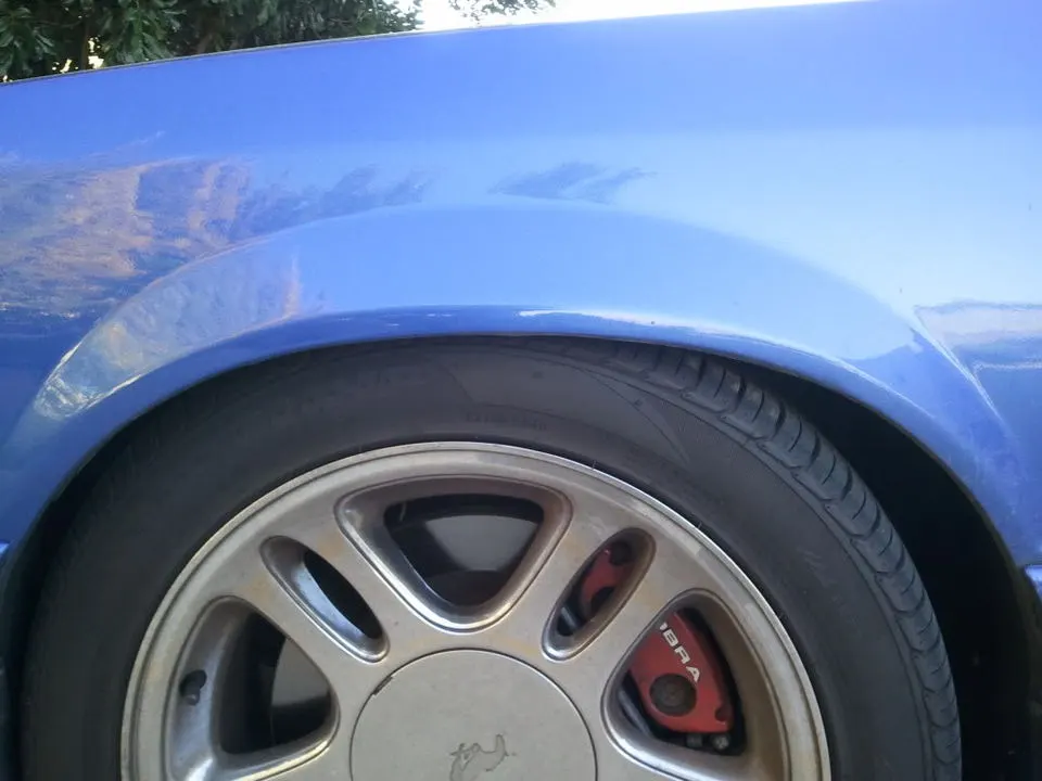 WP_000248.webp