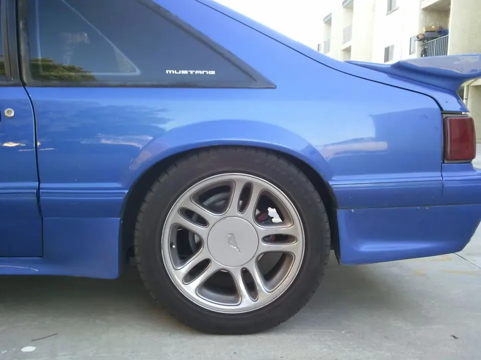 WP_000249.webp
