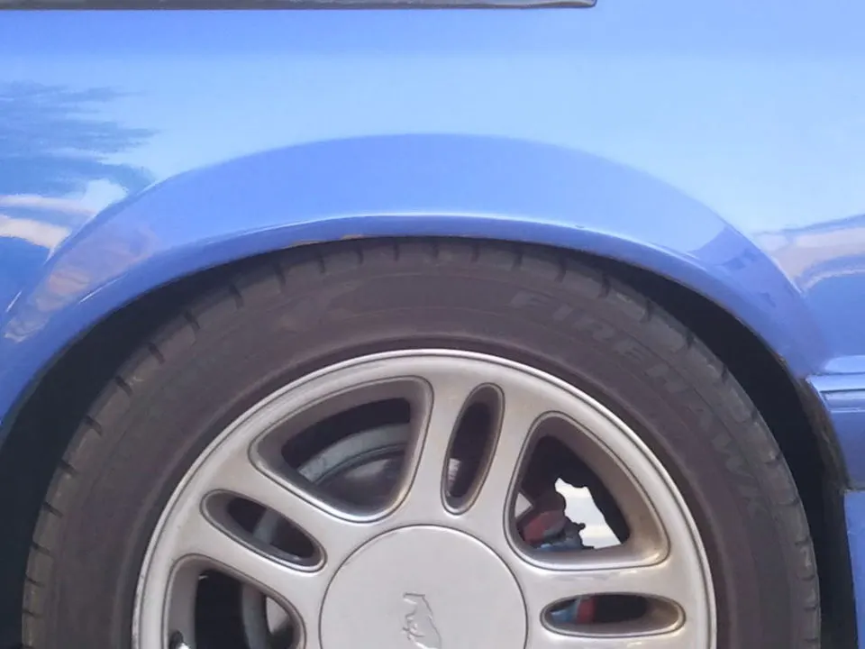 WP_000250.webp