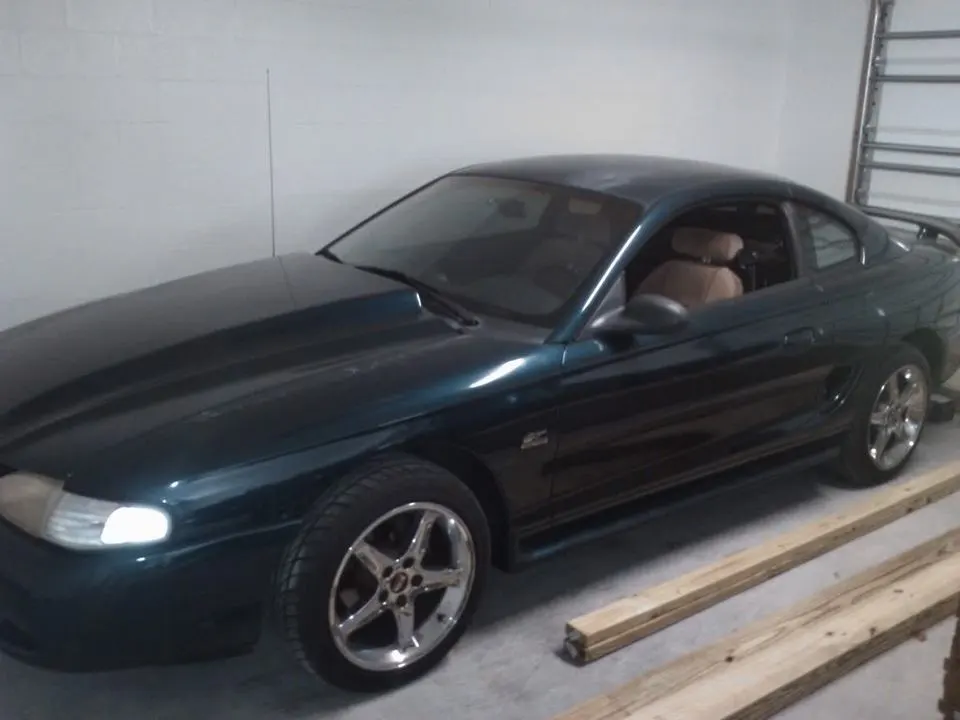 WP_000550.webp