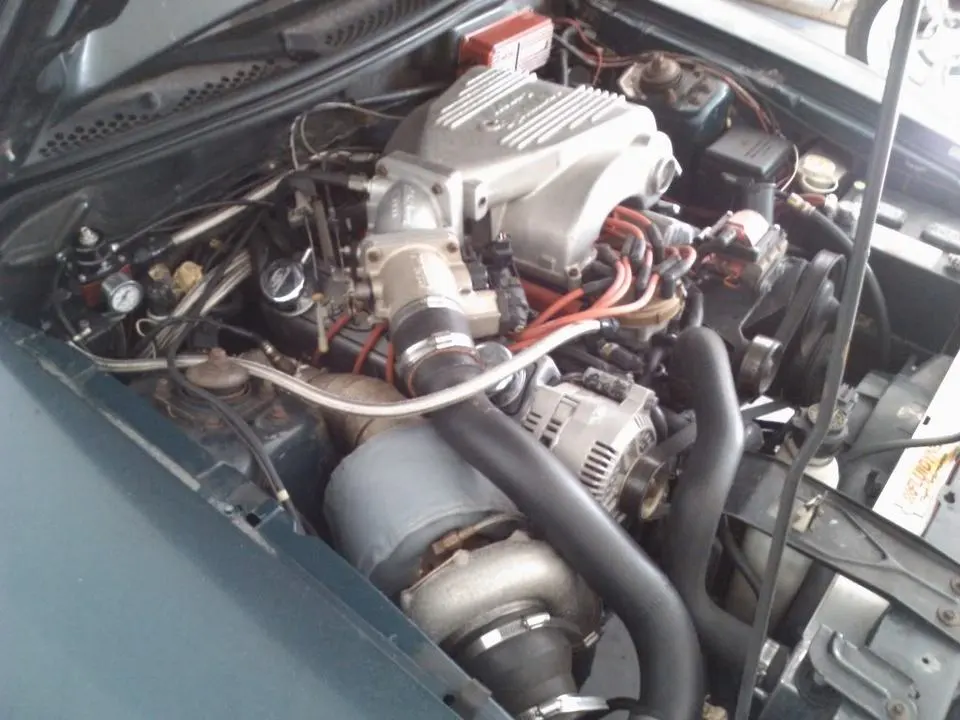 WP_000553.webp