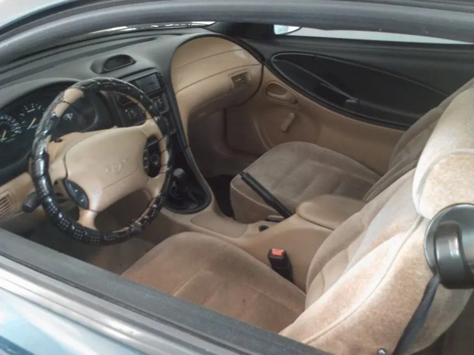 WP_000554.webp