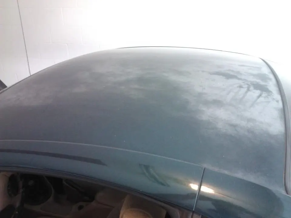 WP_000555.webp