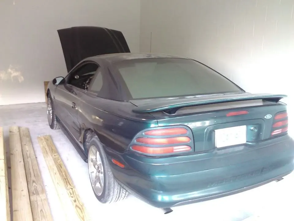 WP_000556.webp