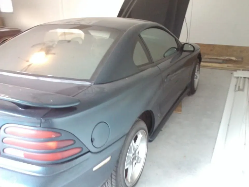 WP_000557.webp
