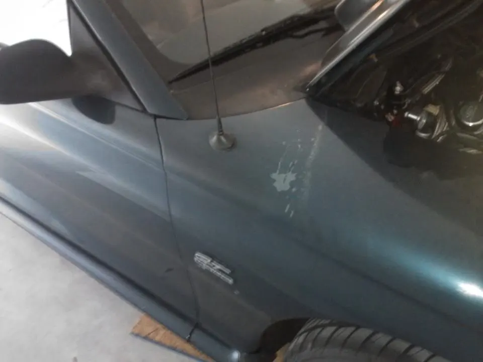 WP_000558.webp