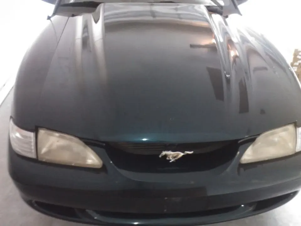 WP_000559.webp