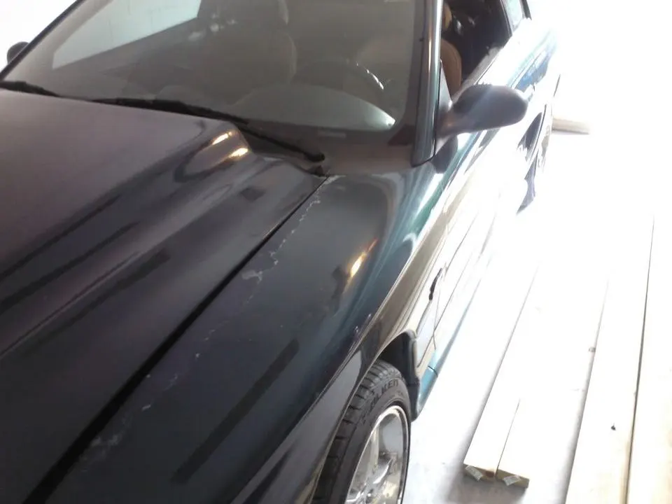 WP_000560.webp