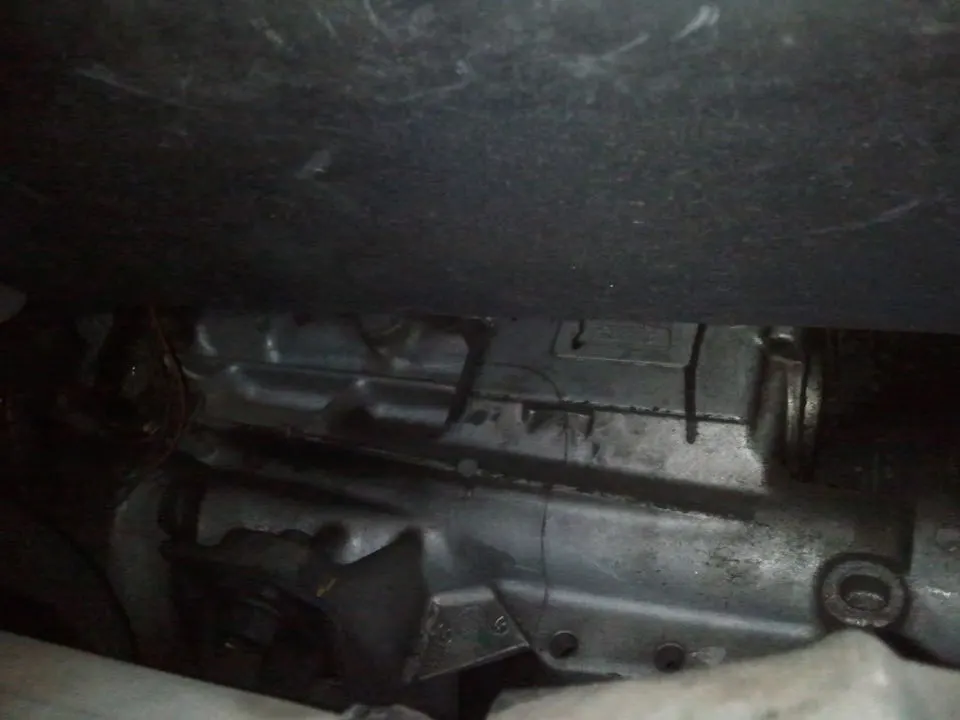 WP_000664.webp
