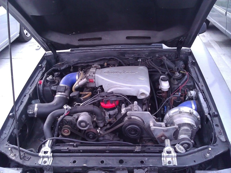 WP_000793.webp