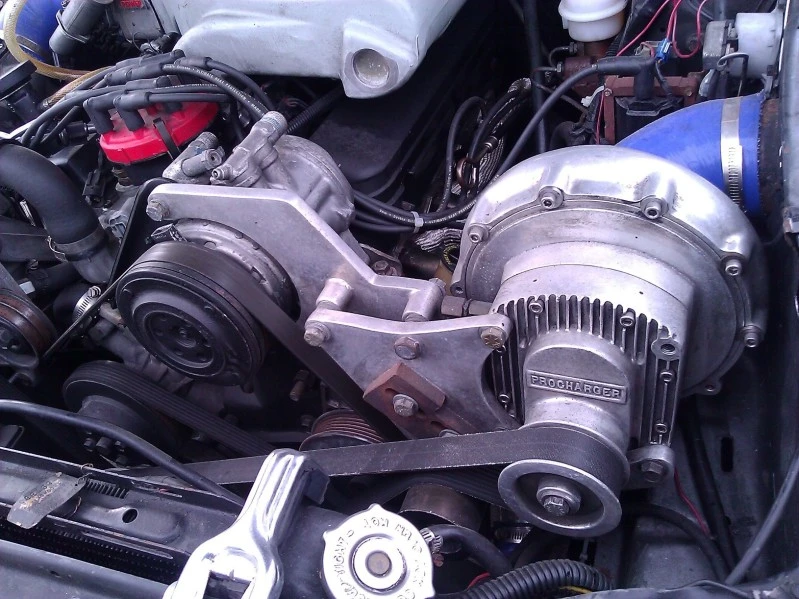 WP_000794.webp