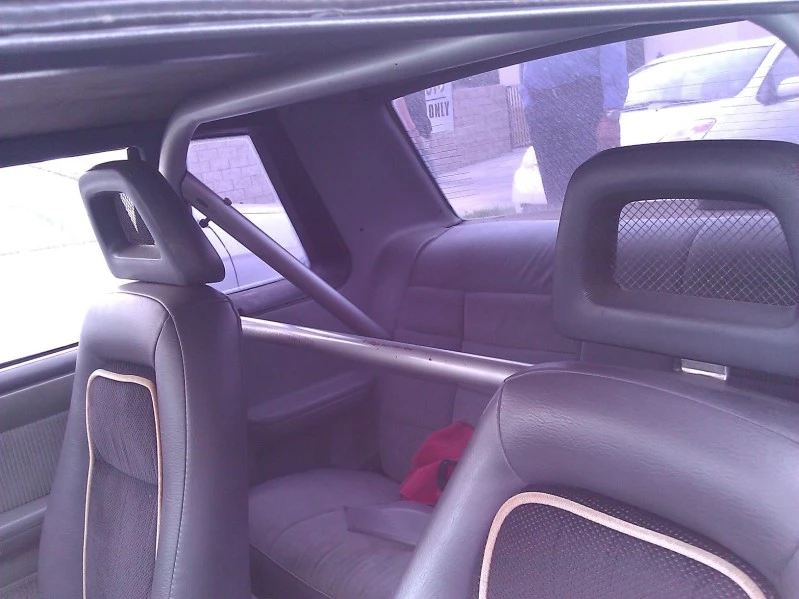 WP_000797.webp