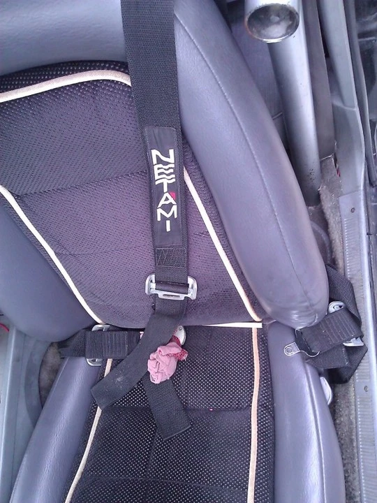 WP_000798.webp