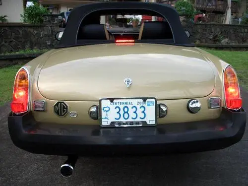 www.mgexp.webp