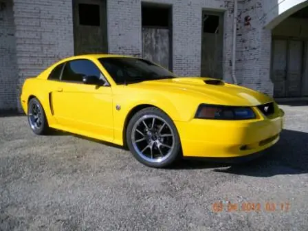 Yellow 1.webp
