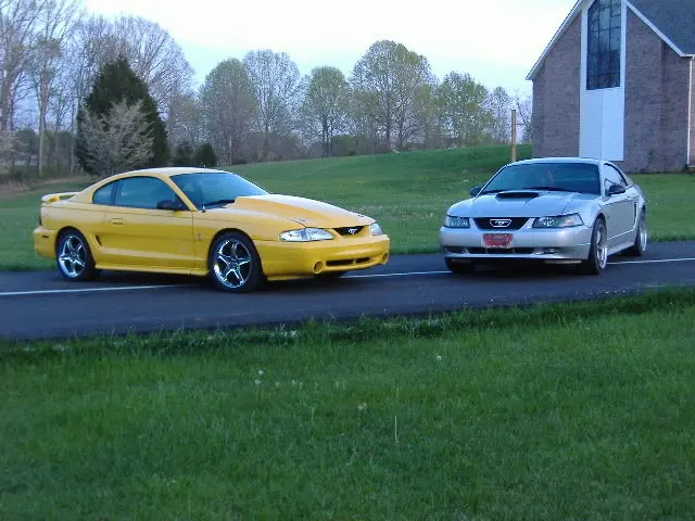 yellow.webp