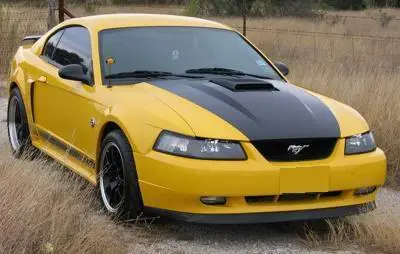 yellow01.webp