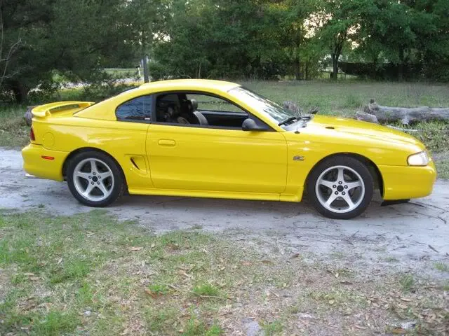 yellow1.webp