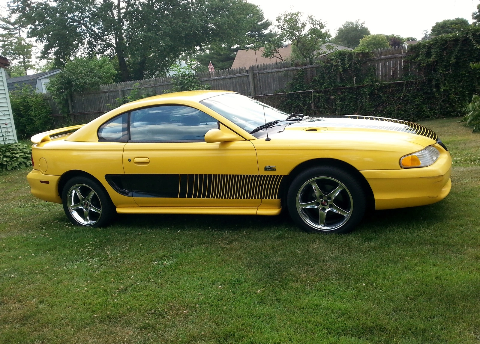 yellowmustang1.webp