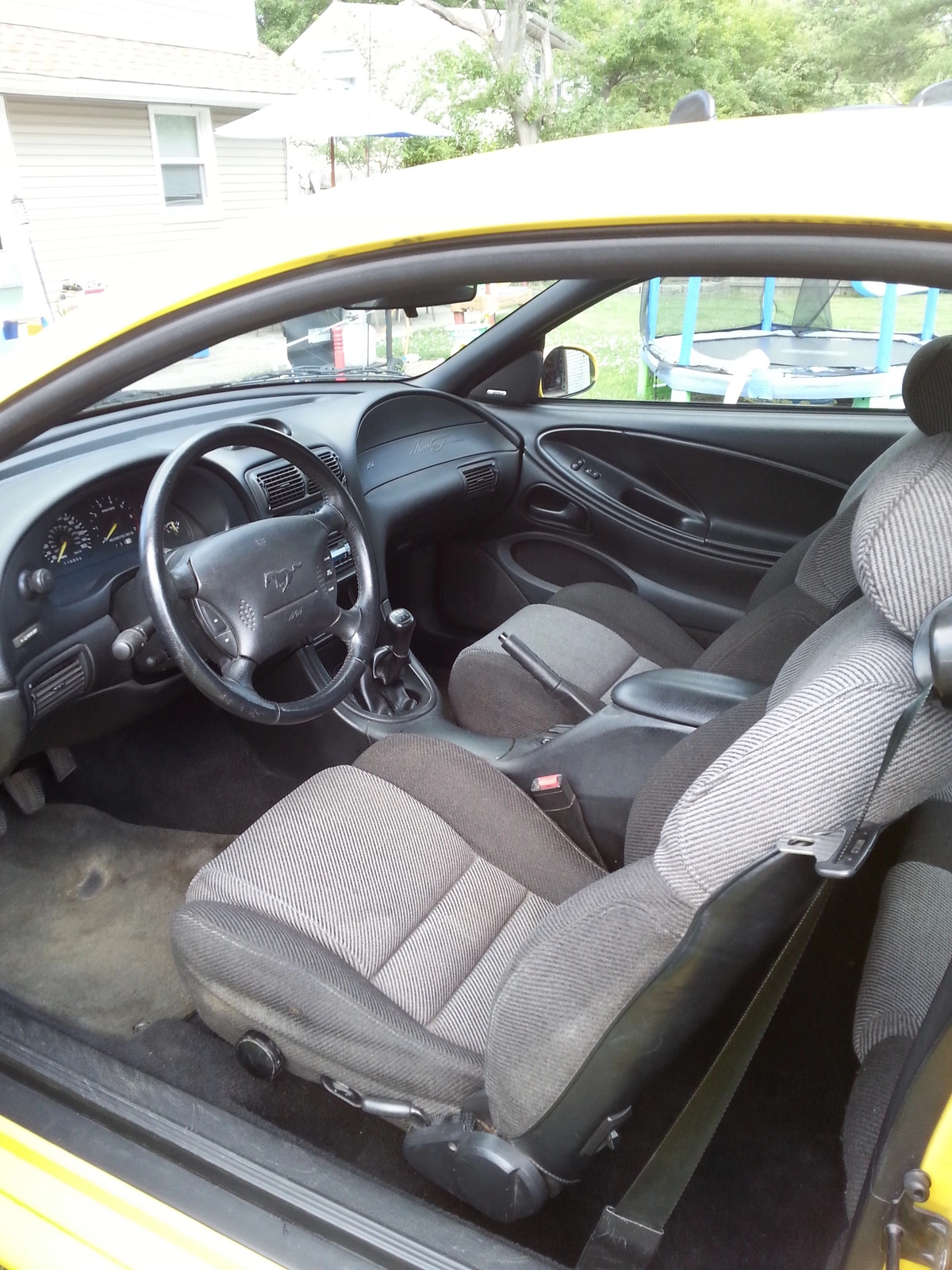 yellowmustang3.webp