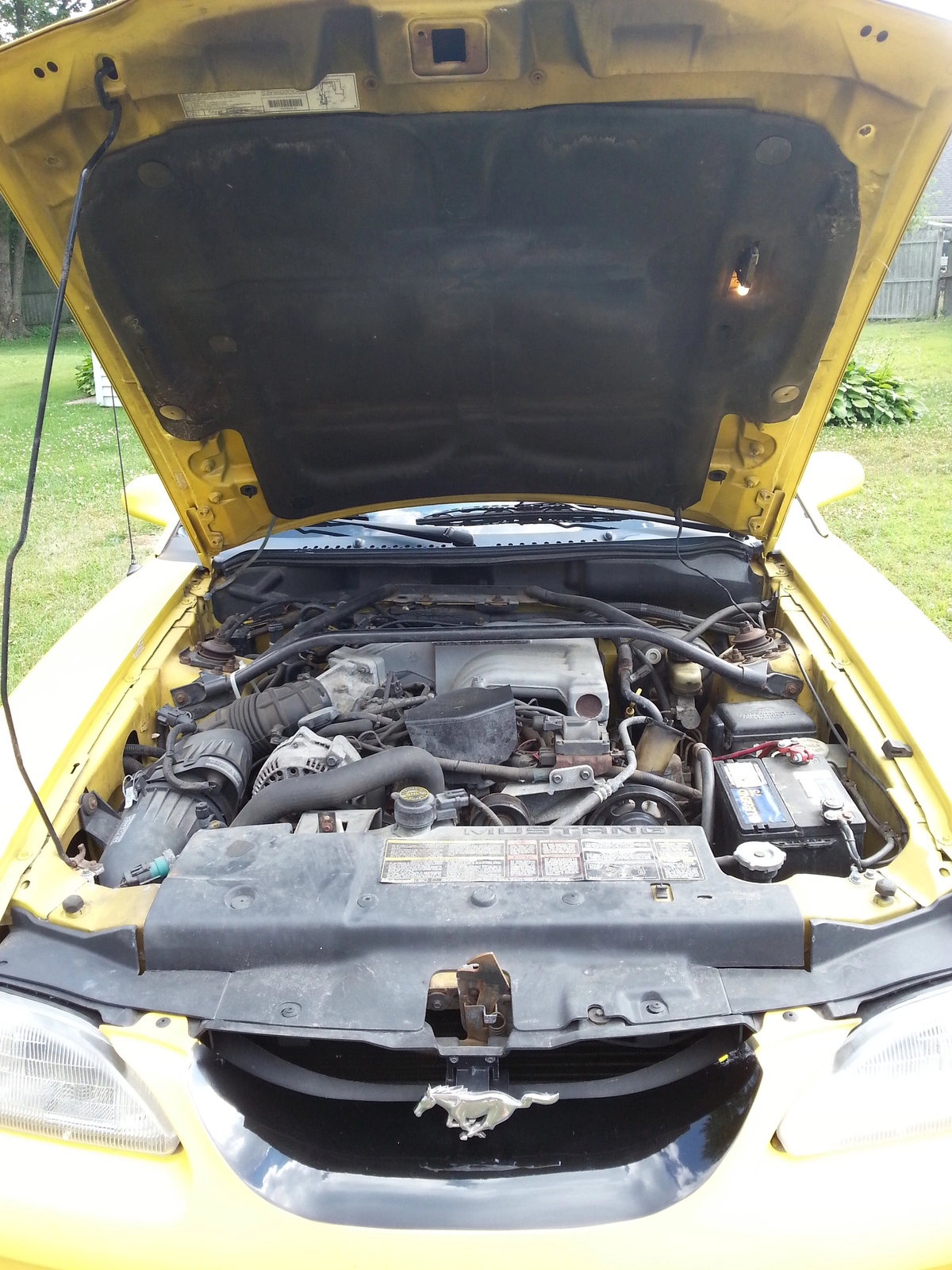 yellowmustang4.webp