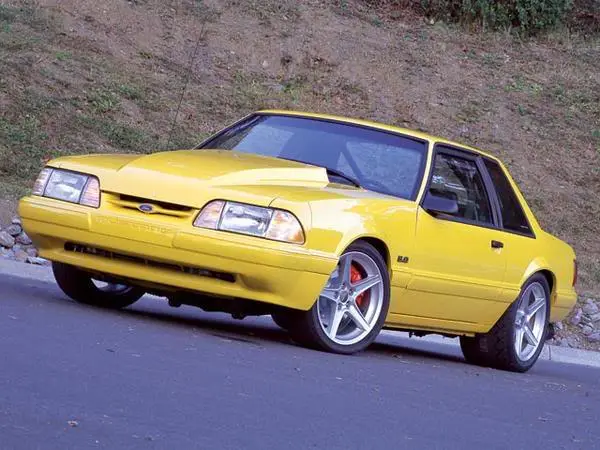 yellownotch.webp