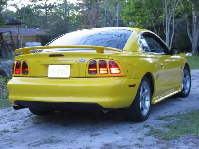 yellowrear.webp