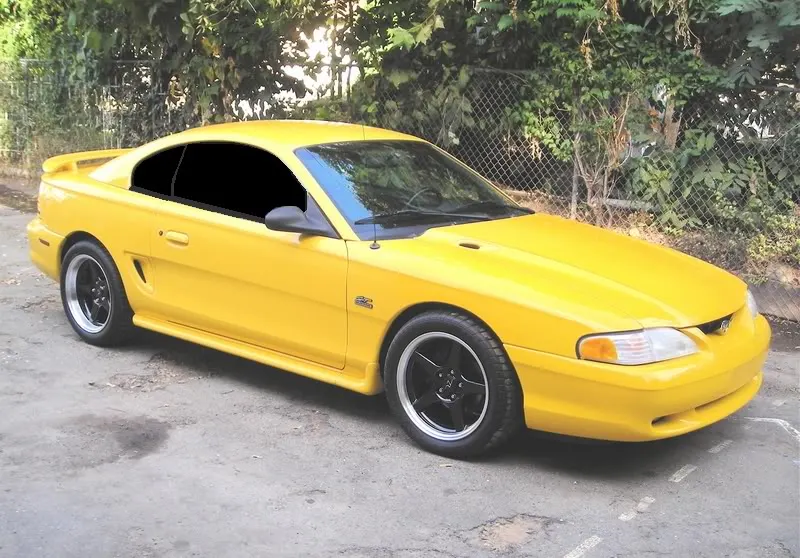 yellowstang.webp