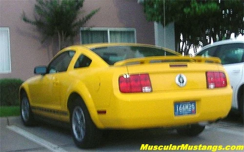 yellowstang.webp