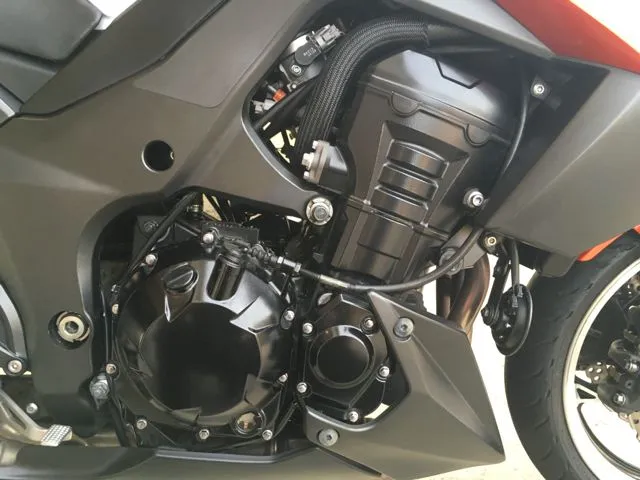 Z100016.webp