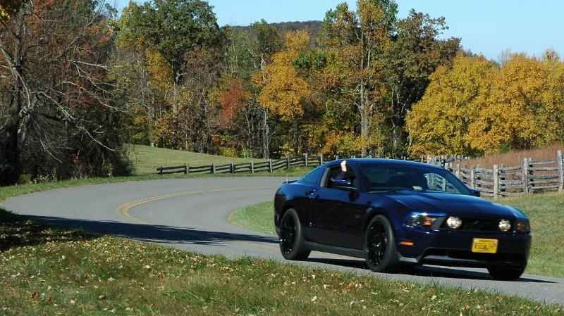 zBRP10201310800w_zpsa8e0bc52.webp