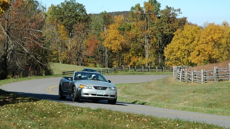 zBRP10201311800w_zpsfe5d6dc8.webp