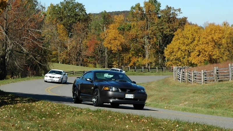 zBRP10201312800w_zpsb53eaa40.webp