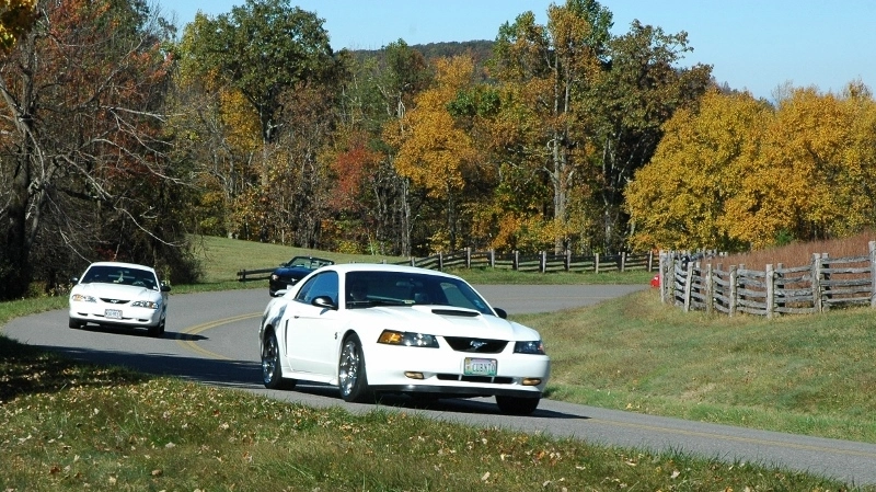 zBRP10201313800w_zpsc808152b.webp