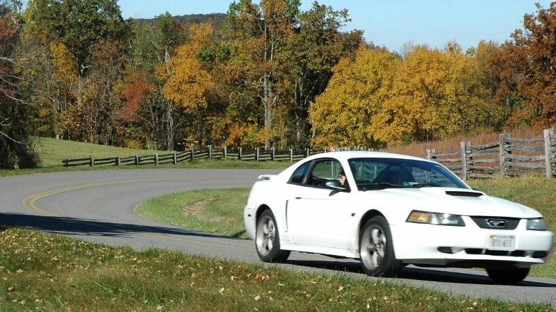 zBRP10201318800w_zpscf145821.webp