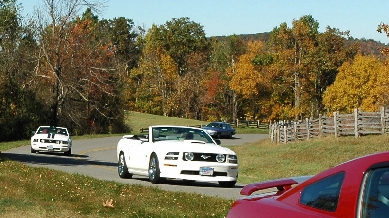 zBRP10201321800w_zpsdac6eb4c.webp