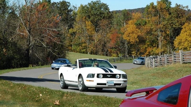 zBRP10201322800w_zps821280a8.webp