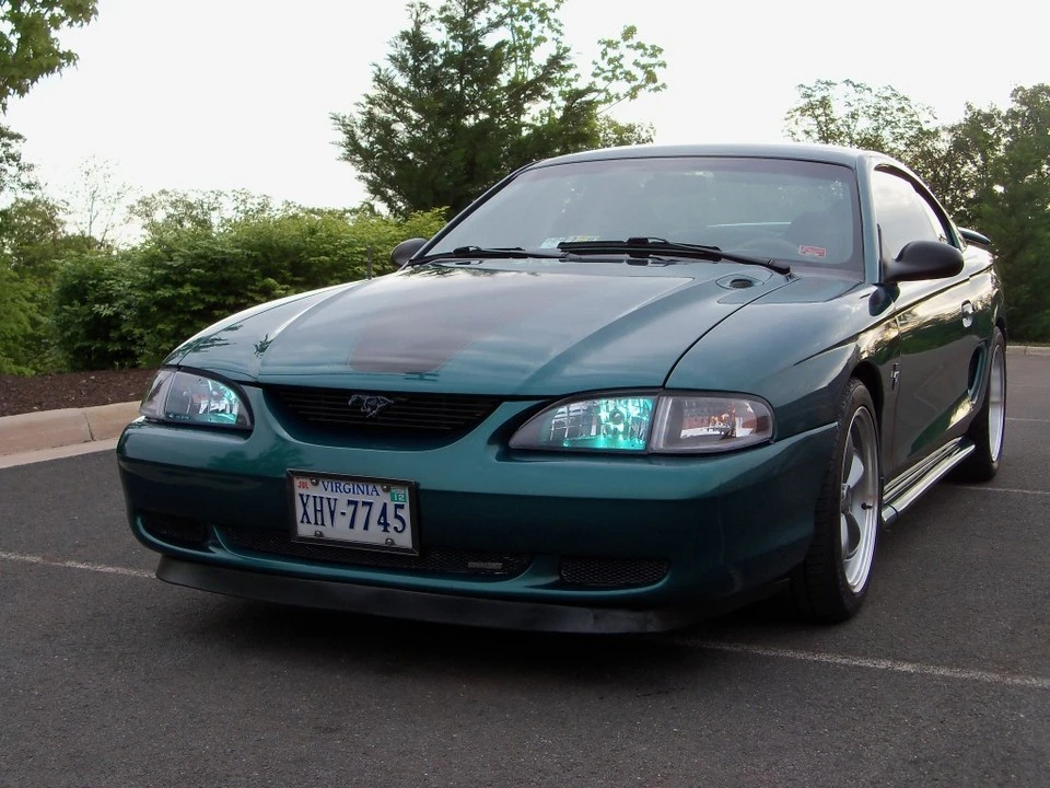 ZebMustang015.webp