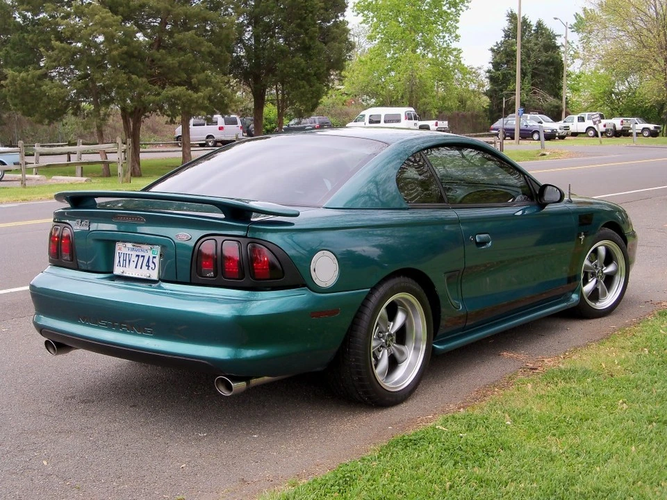 ZebMustang018.webp