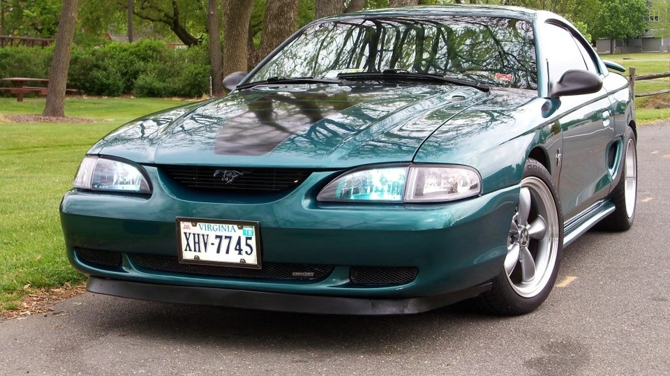ZebMustang023.webp