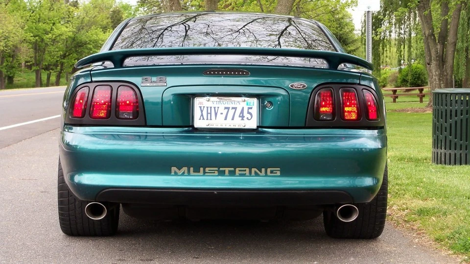ZebMustang026.webp