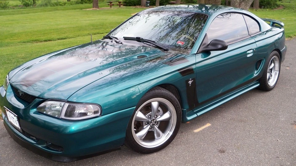 ZebMustang028.webp