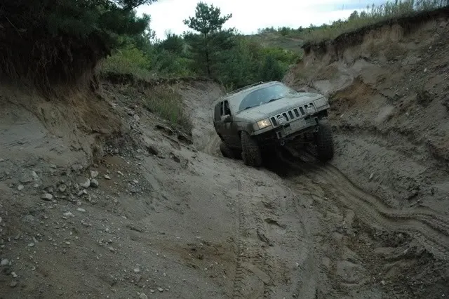 zj017.webp