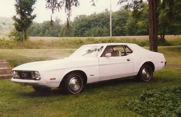 Zmustang12.webp